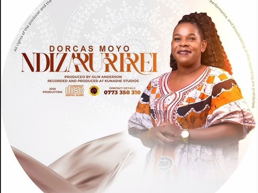 Dorcas Moyo – Ndizarurirei